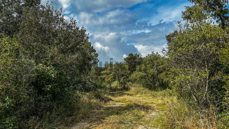 Terrain de loisirs - 2 930 m²