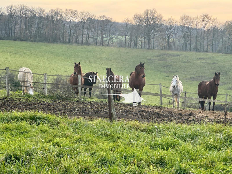 Maison - 200 m² - 6 pièces