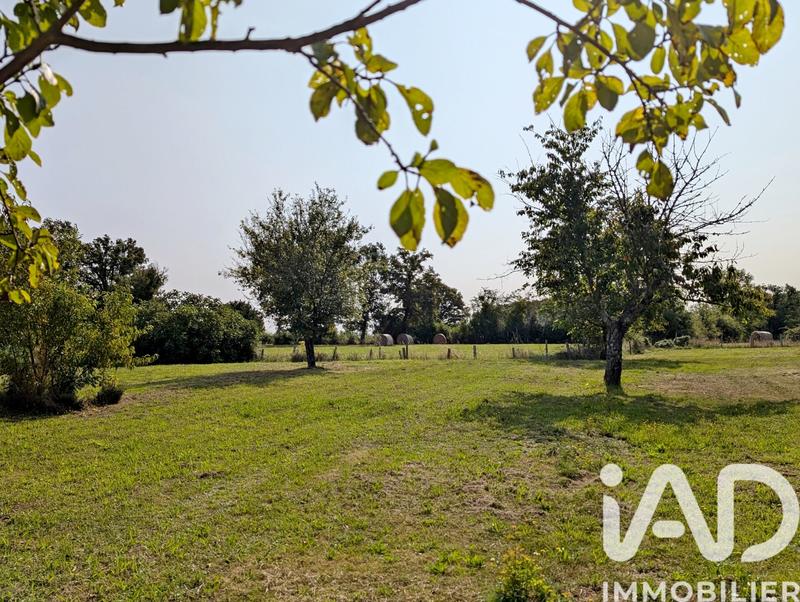 Maison de campagne - 132 m² - 6 pièces