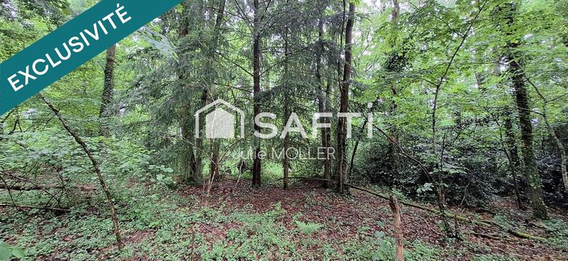 Terrain - 25 303 m²