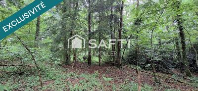 Terrain - 25 303 m²