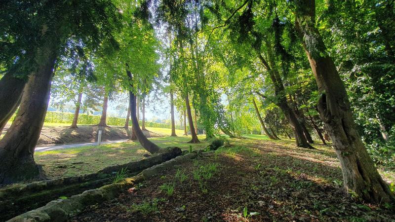 Hôtel particulier - 350 m² - 10 pièces