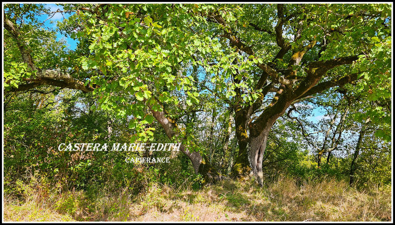 Propriété - 174 m² - 7 pièces