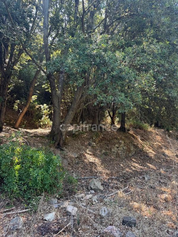 Terrain constructible - 3 380 m²