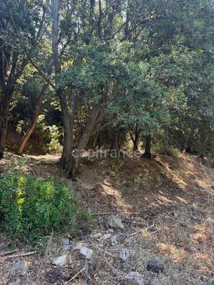 Terrain constructible - 3 380 m²