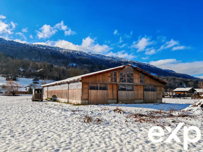 Entrepôt - 550 m² - 3 pièces