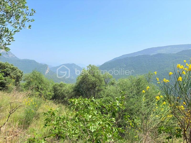 Terrain - 1 562 m²