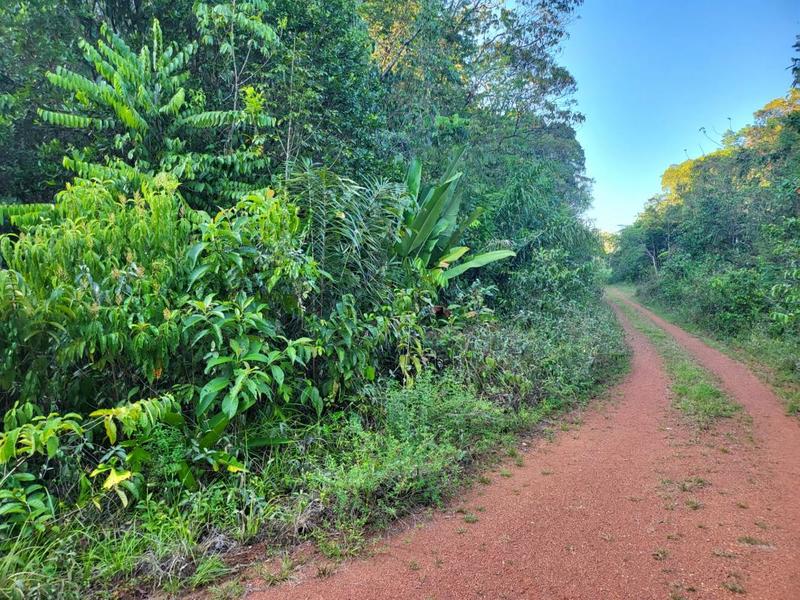 Terrain agricole - 6 490 m²