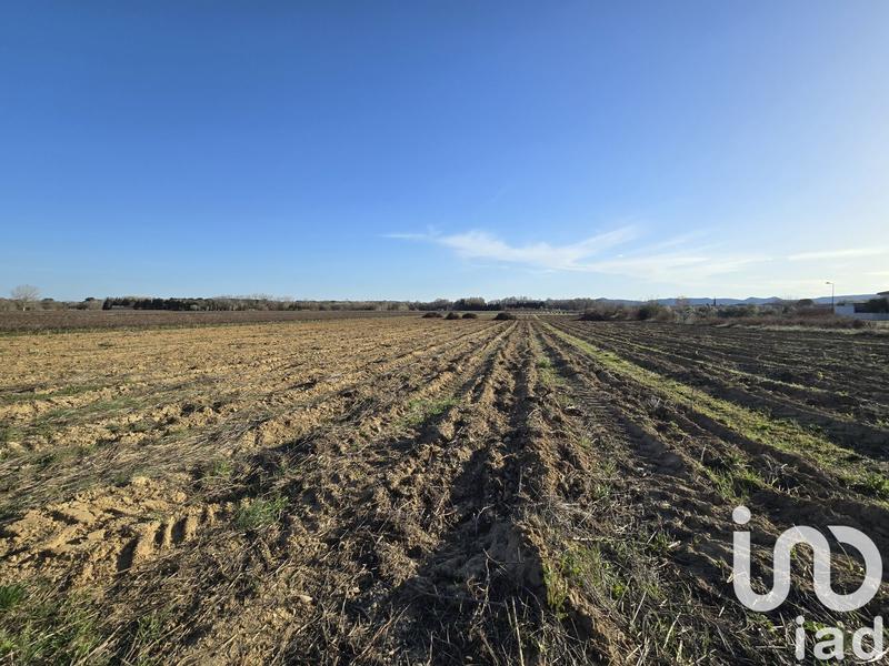 Terrain agricole - 9 392 m²