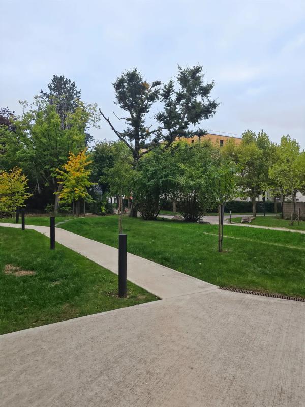 Studio - 19 m² - 1 pièce