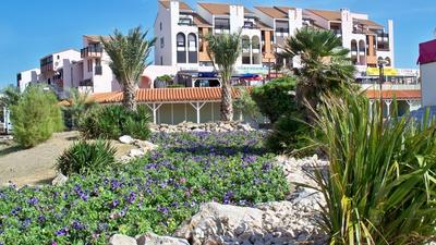 Appartement - 21 m² - 2 pièces