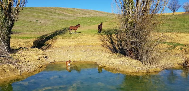 Maison - 315 m² - 11 pièces