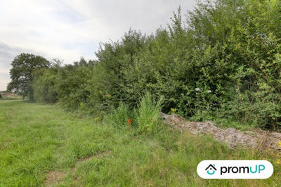 Terrain de loisirs - 946 m²