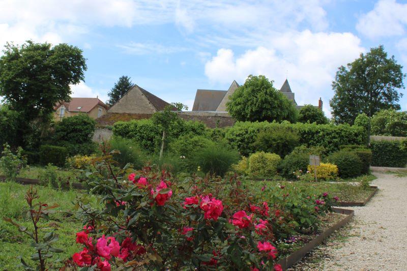 Journée découverte : &quot;La rose dans tous ses états&quot;