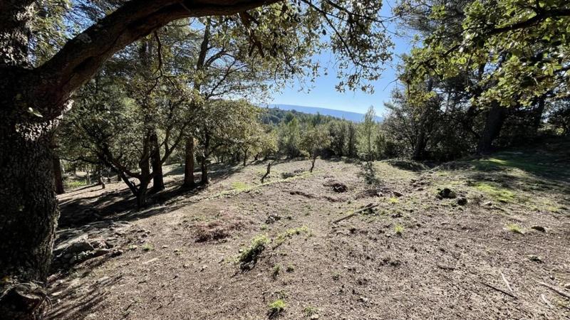 Maison - 185 m² - 5 pièces