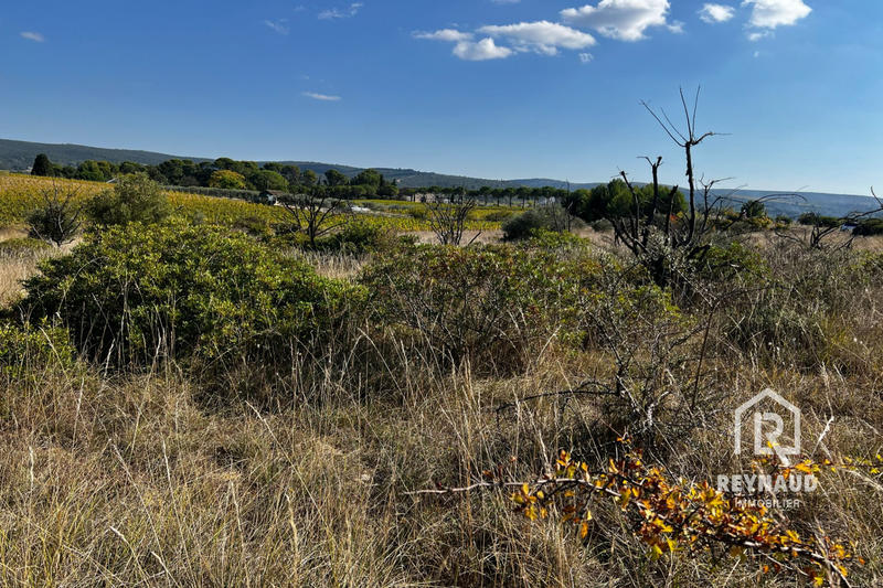 Terrain agricole - 5 600 m²