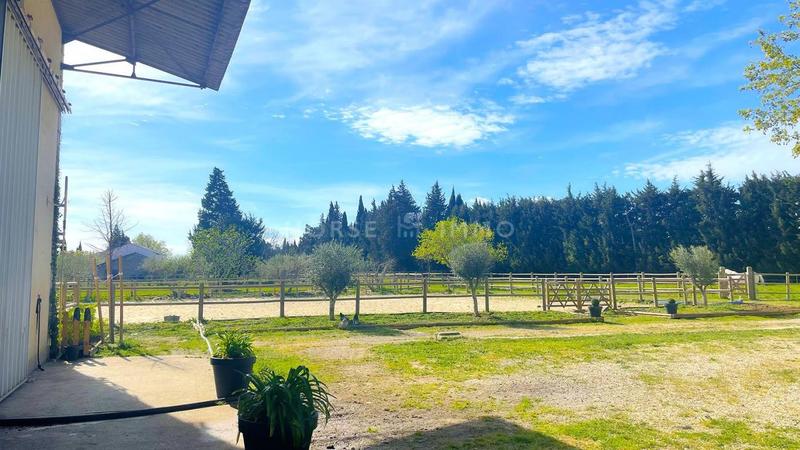 Maison de domaine équestre - 175 m² - 6 pièces