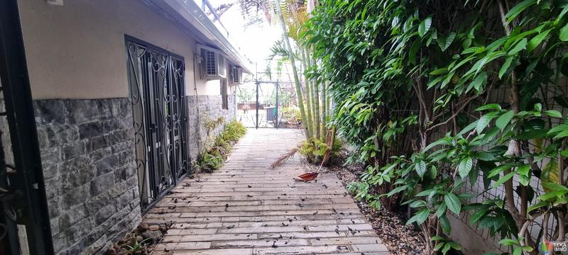 Bureau - 300 m² - 9 pièces