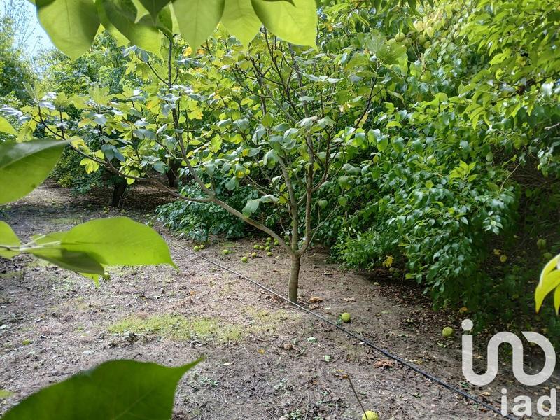 Terrain agricole - 16 110 m²