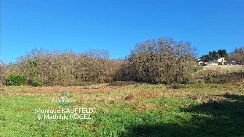 Terrain constructible - 10 850 m²