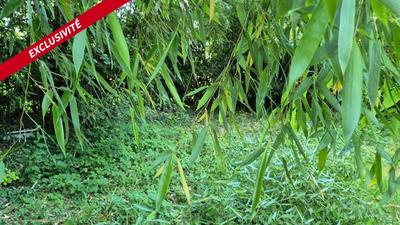 Terrain de loisirs - 1 000 m²