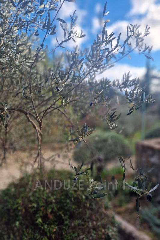 Mas - 135 m² - 4 pièces