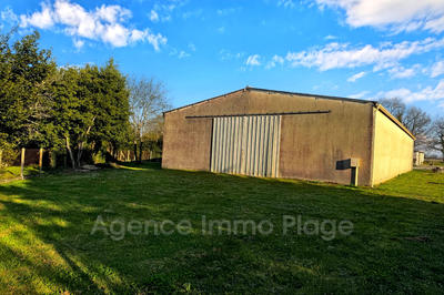 Local commercial - 400 m²