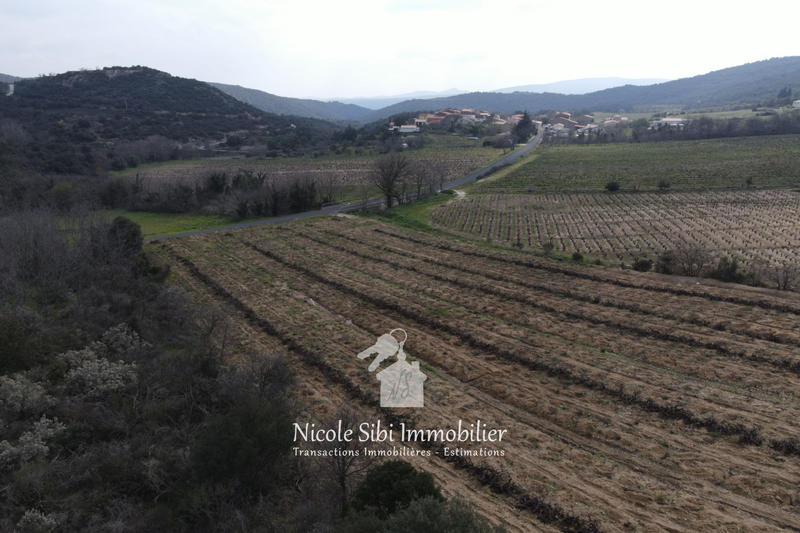 Terrain agricole - 7 731 m²