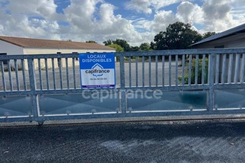 Immeuble - 10 pièces