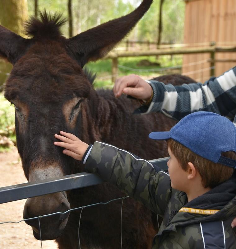 Fête de l'Âne et de l'été