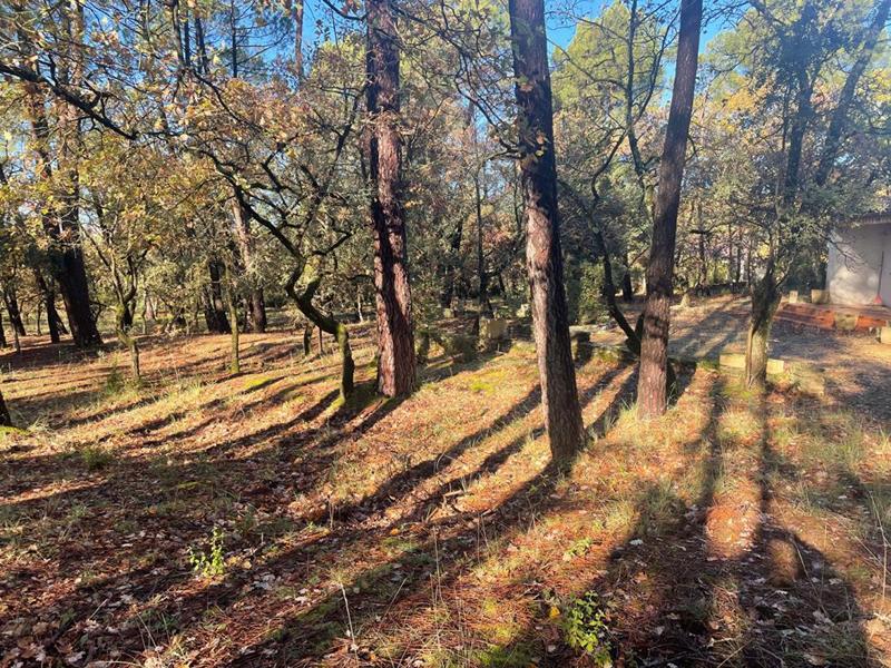 Maison - 85 m² - 3 pièces