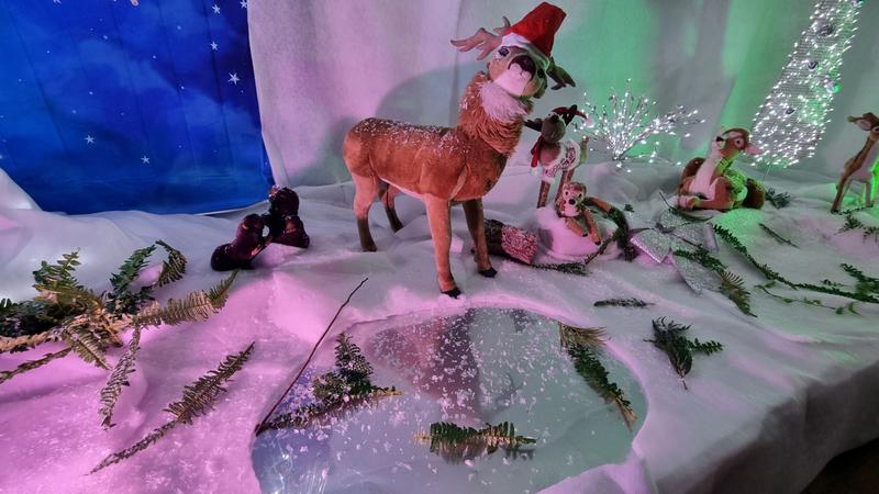 Exposition la forêt enchantée