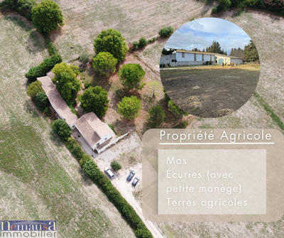 Mas - 231 m² - 6 pièces