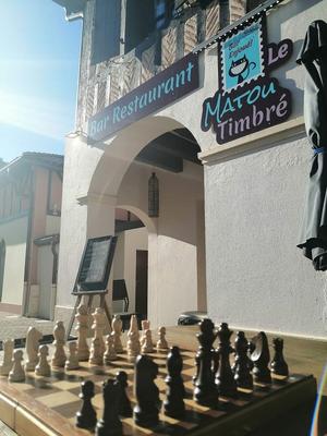 Apéro bulles au matou timbré