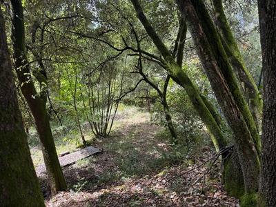 Terrain constructible - 1 032 m²