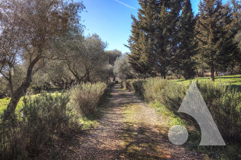 Maison - 640 m² - 18 pièces