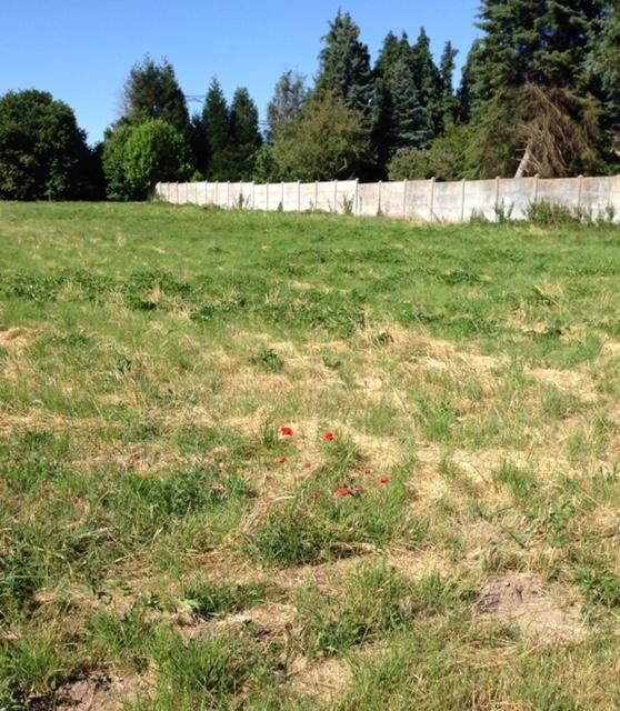 Terrain constructible - 6 150 m²
