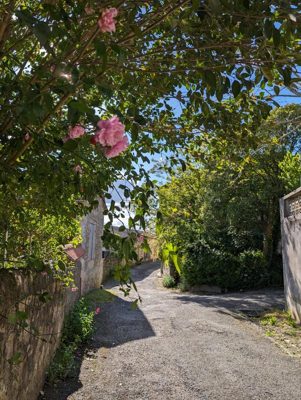 Octobre rose à Sainte-Colombe-en-Brulhois