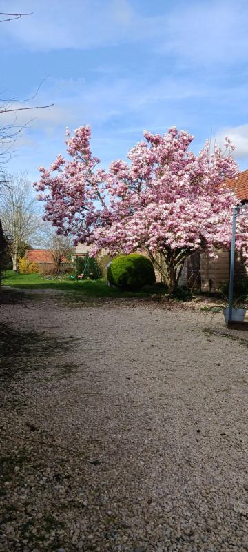 Maison - 140 m² - 4 pièces