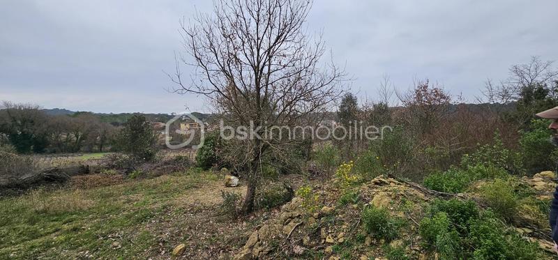 Terrain agricole - 7 256 m²