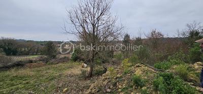 Terrain agricole - 7 256 m²
