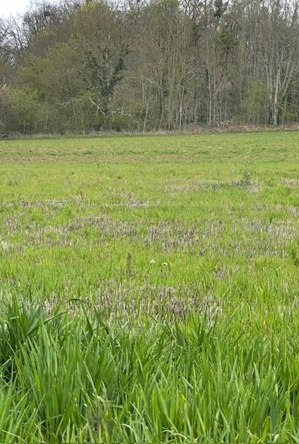 Terrain constructible - 3 346 m²