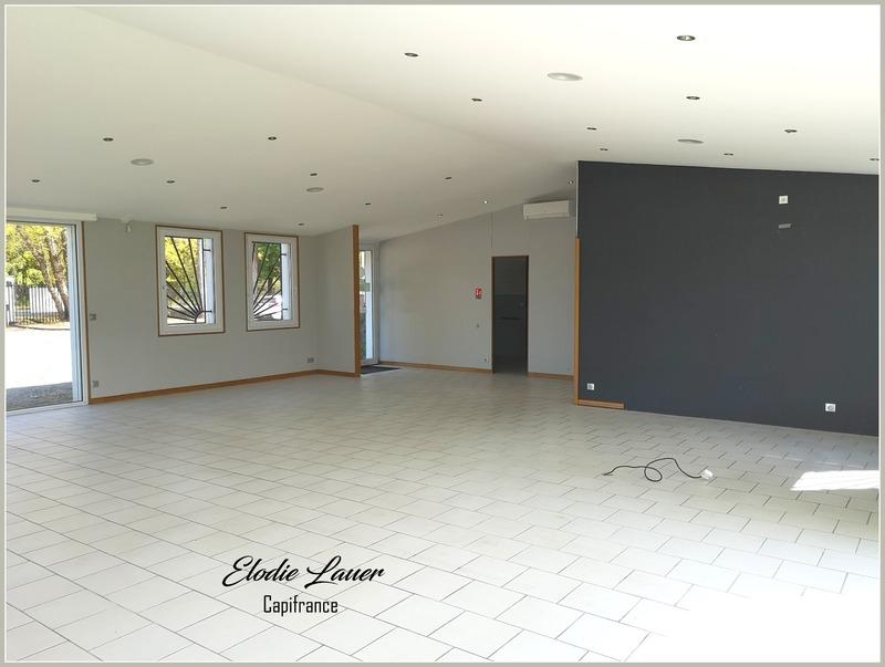 Bureau - 569 m² - 8 pièces