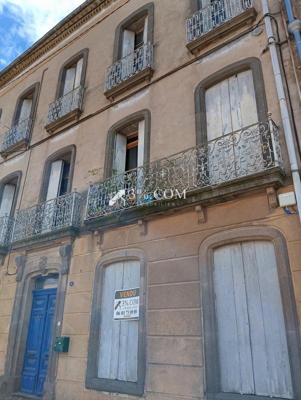 Hôtel particulier - 350 m² - 16 pièces