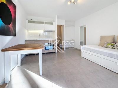 Studio - 27 m² - 1 pièce