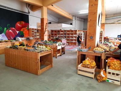 Local commercial - 280 m² - 1 pièce