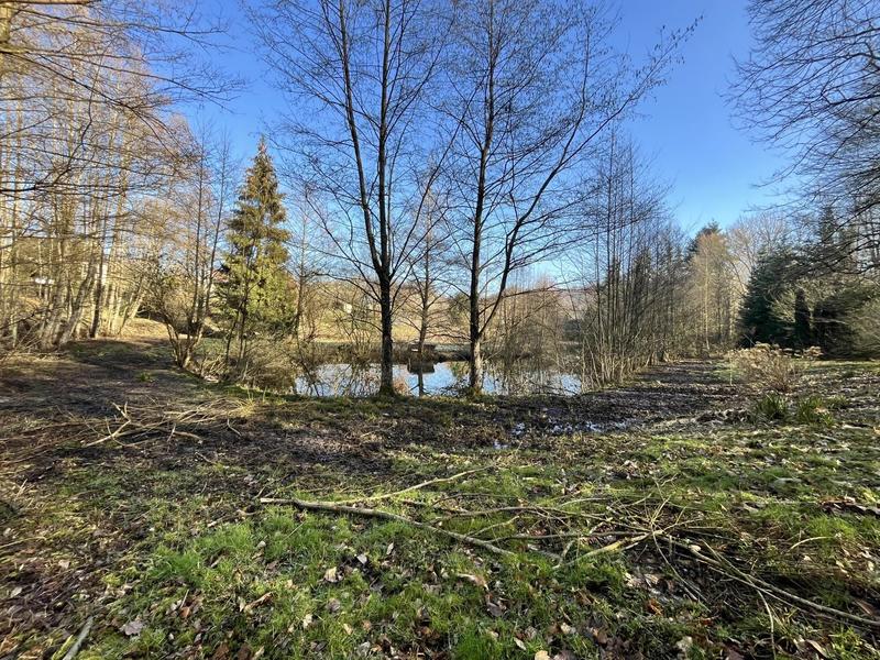 Terrain - 10 000 m²