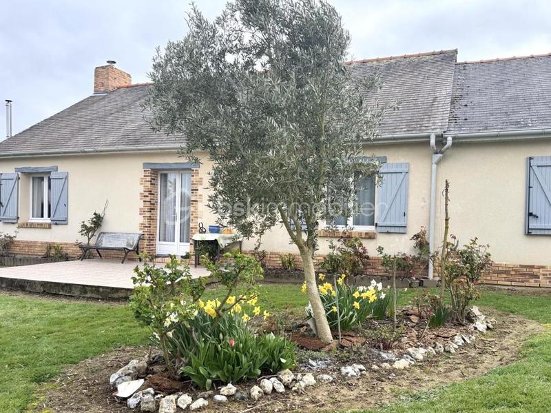 Pavillon - 115 m² - 7 pièces