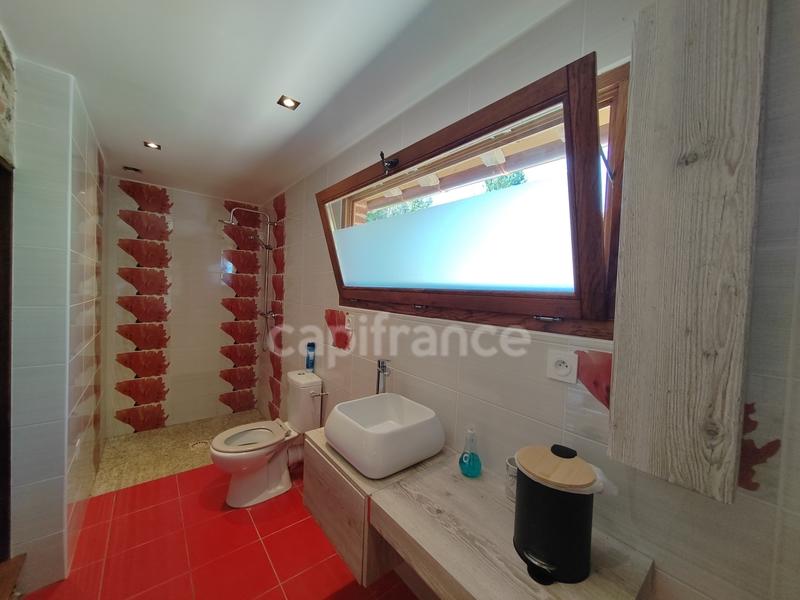 Moulin - 395 m² - 13 pièces