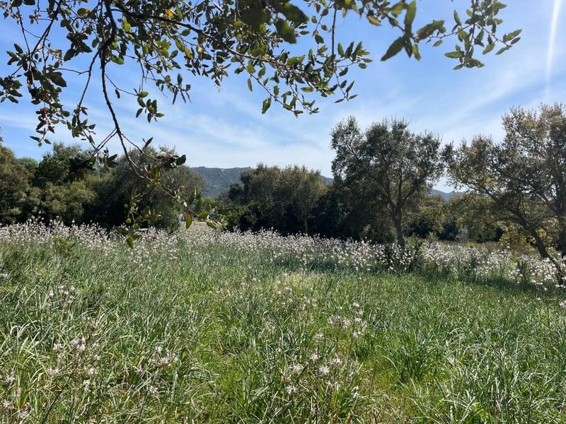 Terrain constructible - 12 588 m²